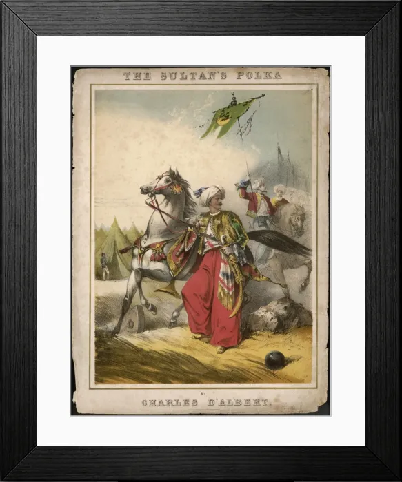 Framed Print : Turkish Sultan Framed Print : Turkish Sultan