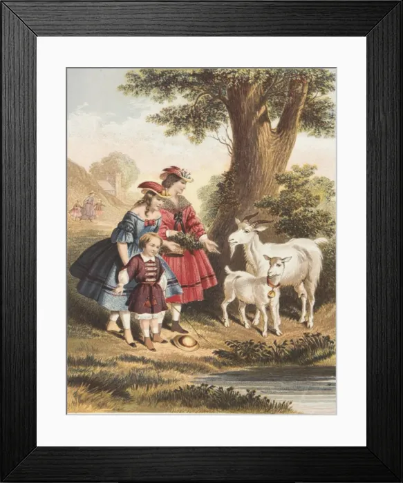 Framed Print : Children and goats Framed Print : Children and goats
