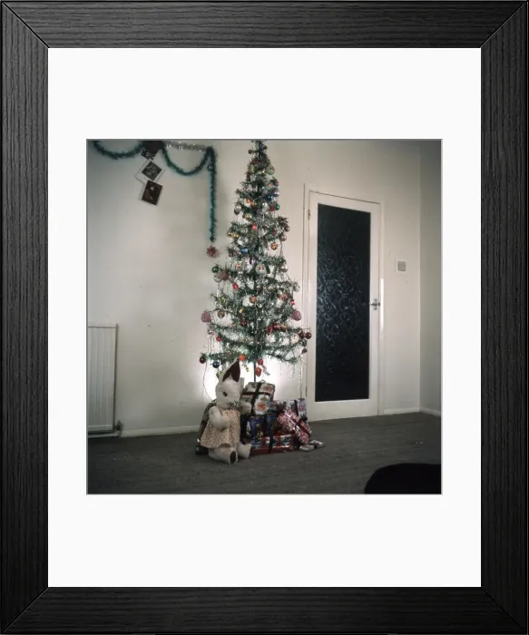 Framed Print : Imitation Xmas Tree Framed Print : Imitation Xmas Tree