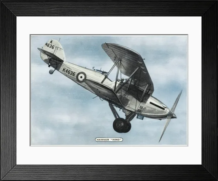 Framed Print : Hawker Hind Framed Print : Hawker Hind
