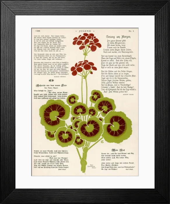 Framed Print : Geraniums Design / Jugend Framed Print : Geraniums Design / Jugend