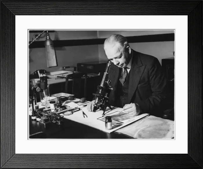 Framed Print : Criminal Record Office Framed Print : Criminal Record Office