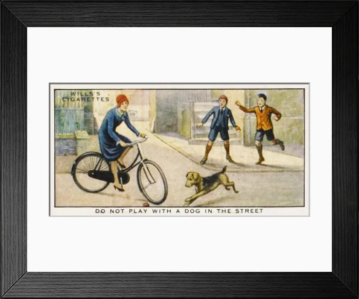 Framed Print : The Dog in the Street Framed Print : The Dog in the Street