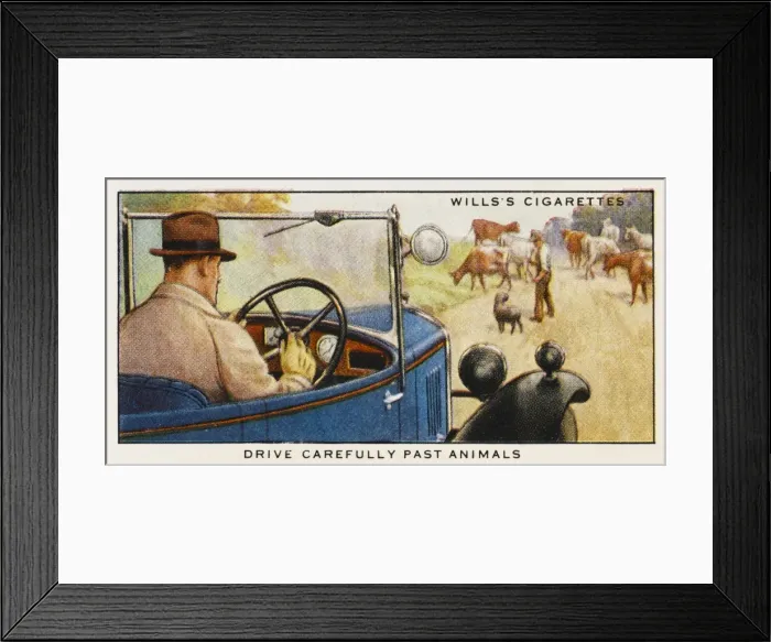 Framed Print : Driving Past Animals Framed Print : Driving Past Animals
