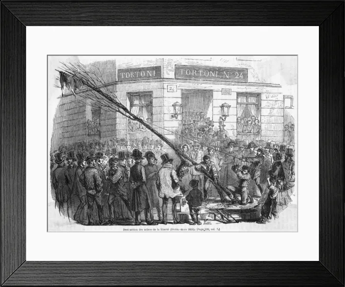 Framed Print : Tree of Liberty Felled2 Framed Print : Tree of Liberty Felled2