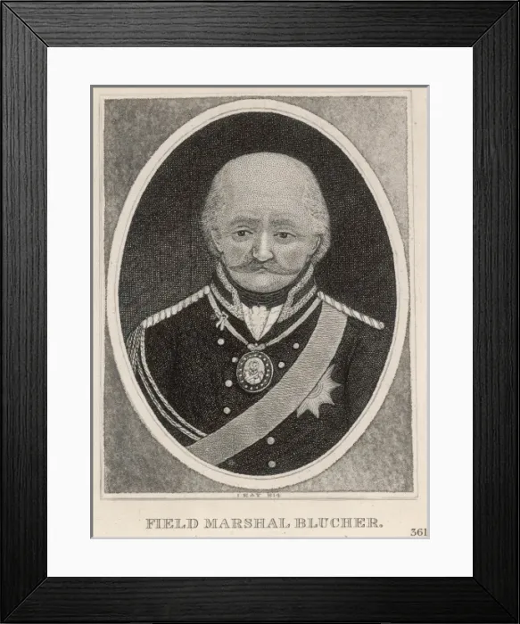 Framed Print : Blucher (Kay) Framed Print : Blucher (Kay)