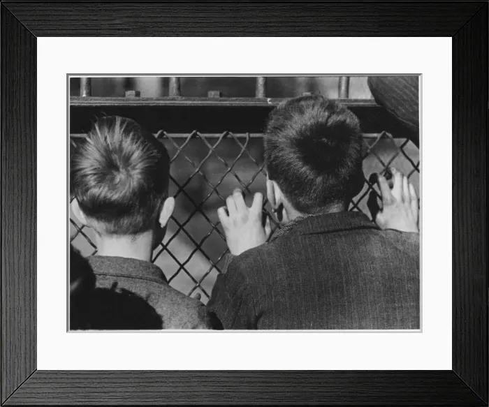 Framed Print : Back of Two Boys Heads Framed Print : Back of Two Boys Heads