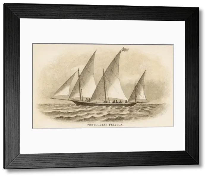 Framed Print : Portuguese Felucca Framed Print : Portuguese Felucca