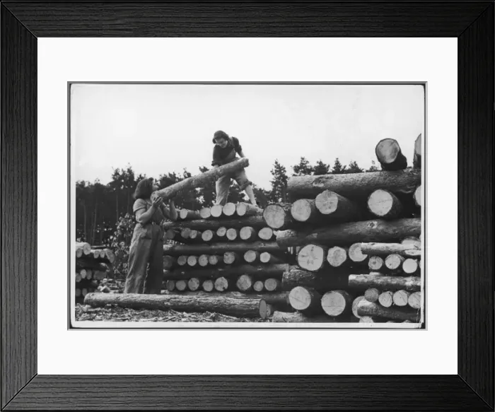 Framed Print : Land Girls with Logs