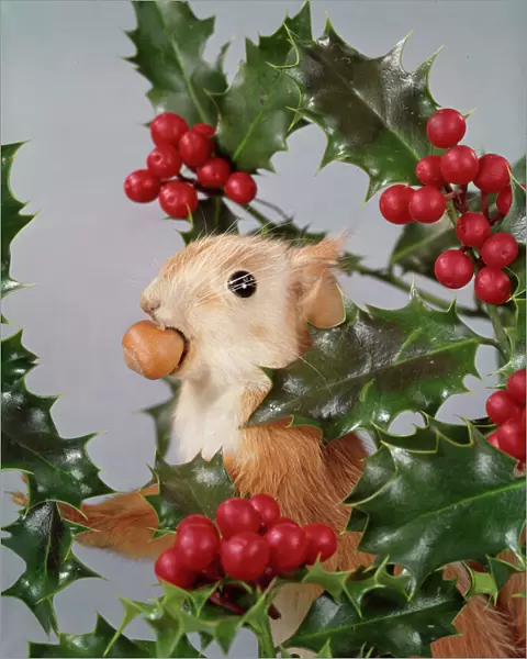 Festive Nutty Squirrel 2