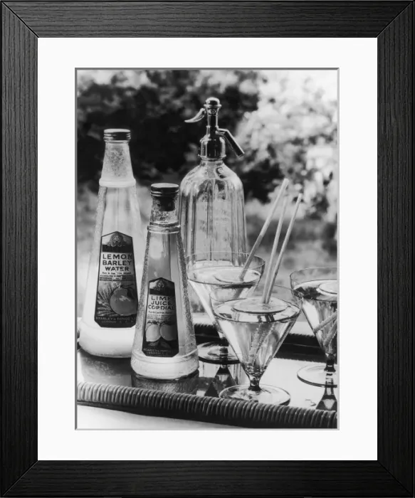 Framed Print : Summer Fruit Drinks Framed Print : Summer Fruit Drinks