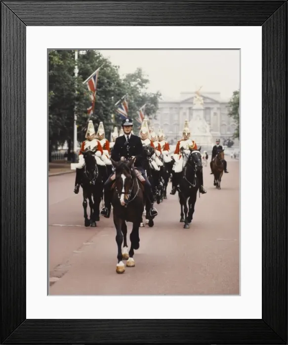 Framed Print : Mounted Police Officer Framed Print : Mounted Police Officer
