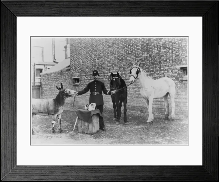 Framed Print : Police Officer & Animals