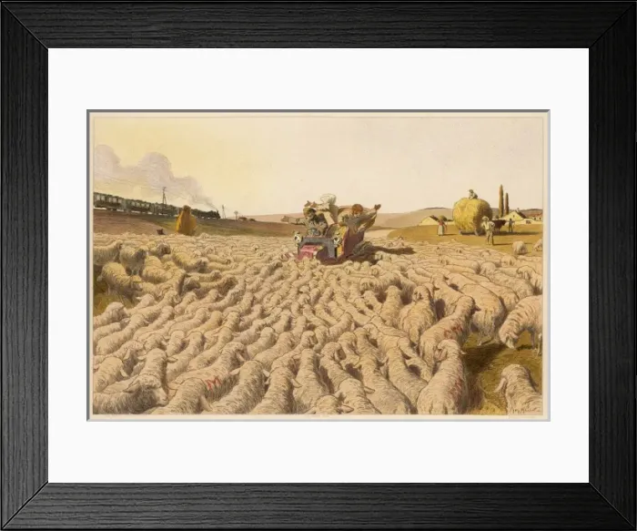 Framed Print : Sheep Block Road Framed Print : Sheep Block Road