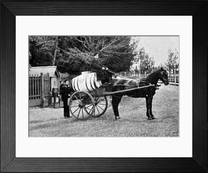 Framed Print : Russian cholera epidemic Framed Print : Russian cholera epidemic