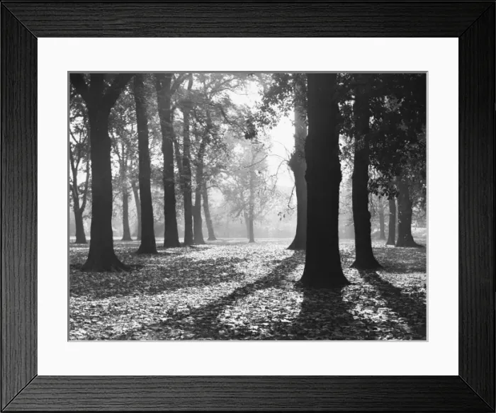 Framed Print : Autumnal Scene