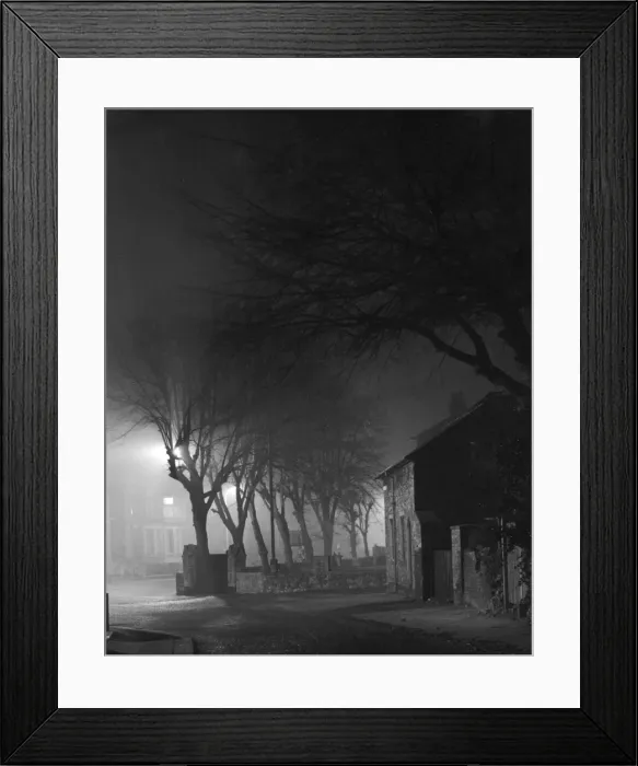 Framed Print : Spooky Trees Framed Print : Spooky Trees