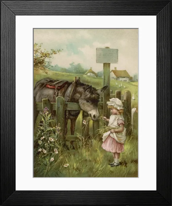 Framed Print : Girl Feeds Donkey C1890 Framed Print : Girl Feeds Donkey C1890