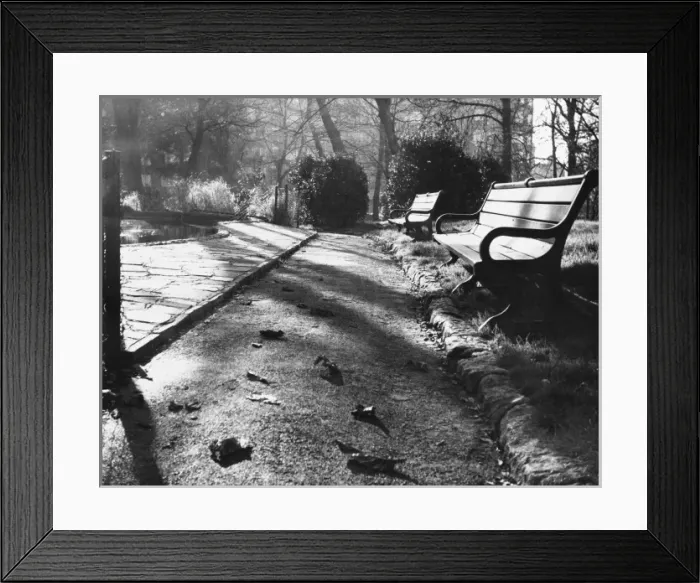 Framed Print : Autumn Bench Framed Print : Autumn Bench