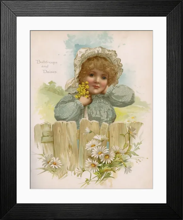 Framed Print : Girl / Buttercups / Daisies Framed Print : Girl / Buttercups / Daisies