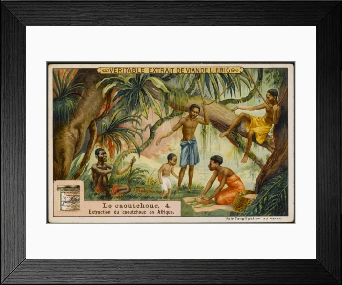 Framed Print : Rubber : in Africa Framed Print : Rubber : in Africa