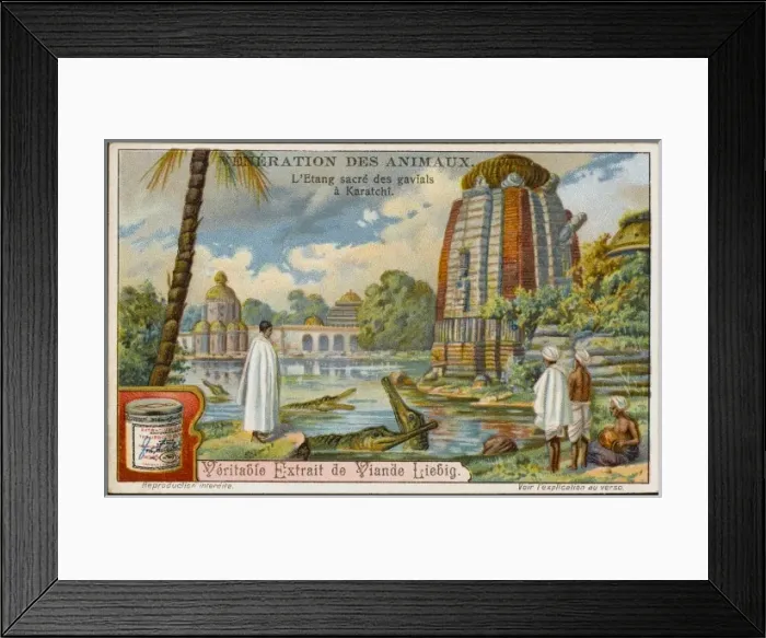Framed Print : Crocodile Worship Framed Print : Crocodile Worship