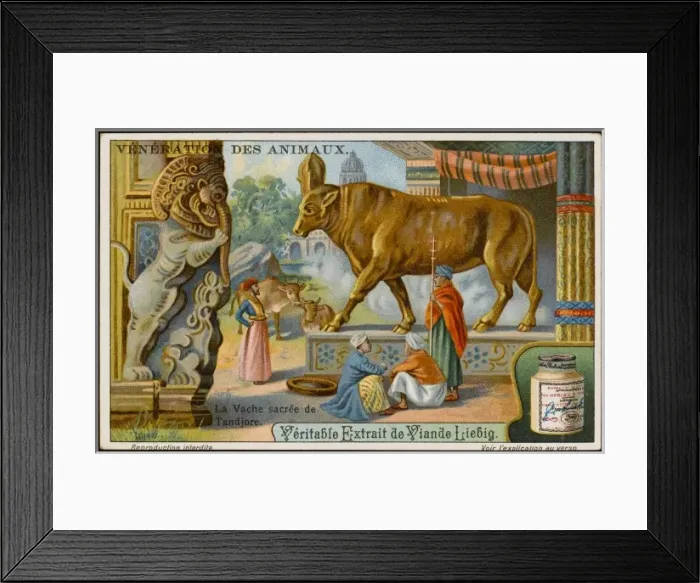 Framed Print : Sacred Cow, Tanjore Framed Print : Sacred Cow, Tanjore