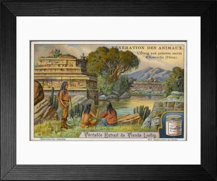Framed Print : Sacred Fish, Peru