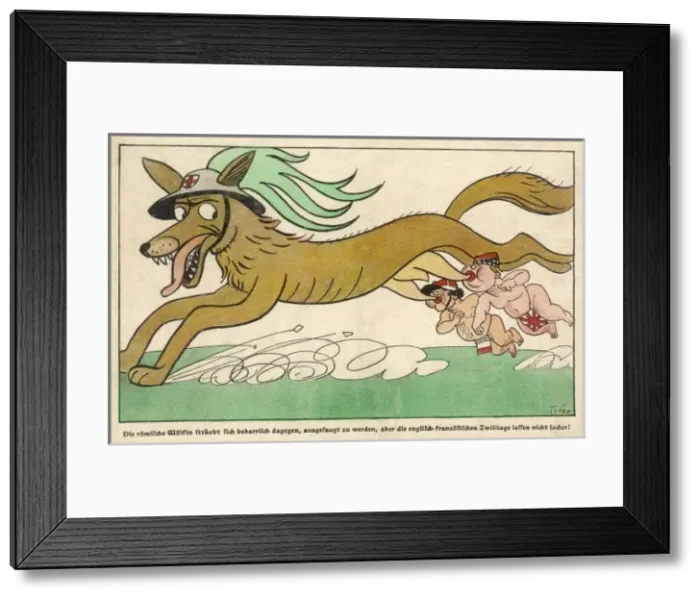Framed Print : The Italian Wolf Framed Print : The Italian Wolf