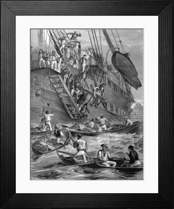 Framed Print : Passenger ship off St. Vincent, 1873 Framed Print : Passenger ship off St. Vincent, 1873