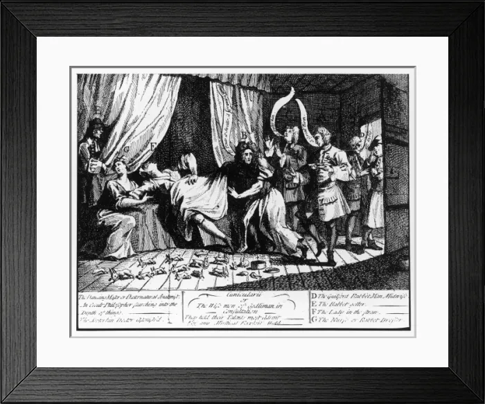 Framed Print : Pretend Rabbit Breeder Framed Print : Pretend Rabbit Breeder