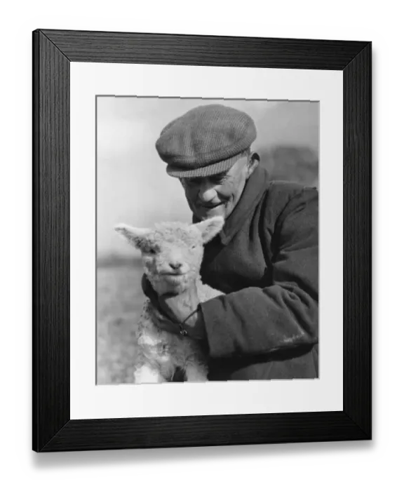 Framed Print : Farmer & Lamb Framed Print : Farmer & Lamb