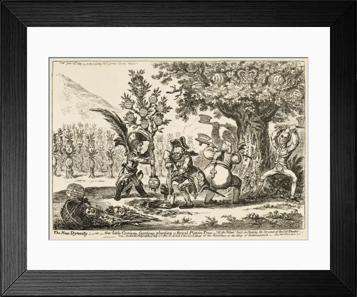 Framed Print : Napoleons Family Tree Framed Print : Napoleons Family Tree