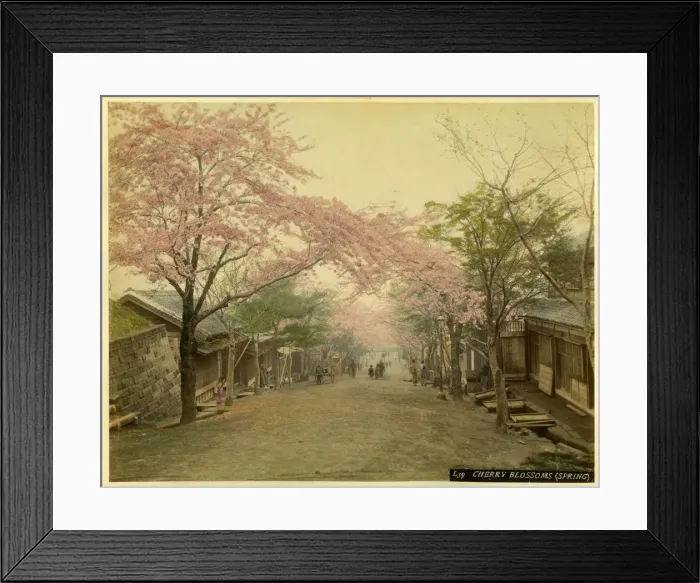 Framed Print : Japanese village street Framed Print : Japanese village street