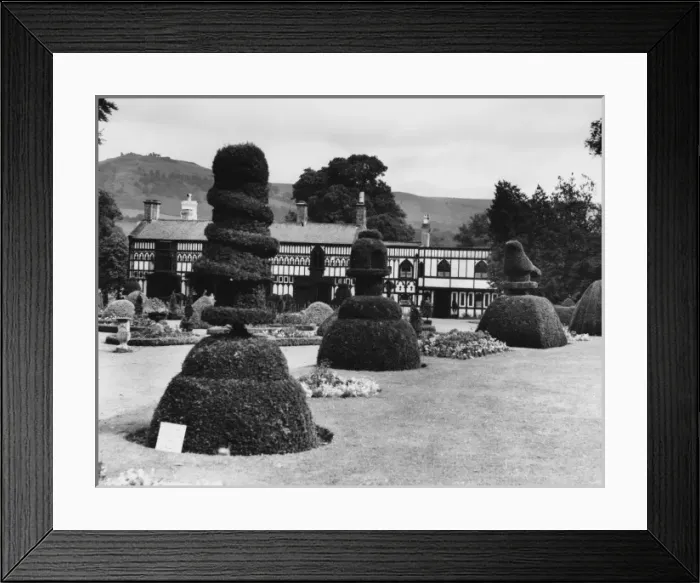 Framed Print : Topiary at Plas Newydd Framed Print : Topiary at Plas Newydd