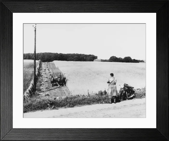Framed Print : Watching the Harvesting Framed Print : Watching the Harvesting