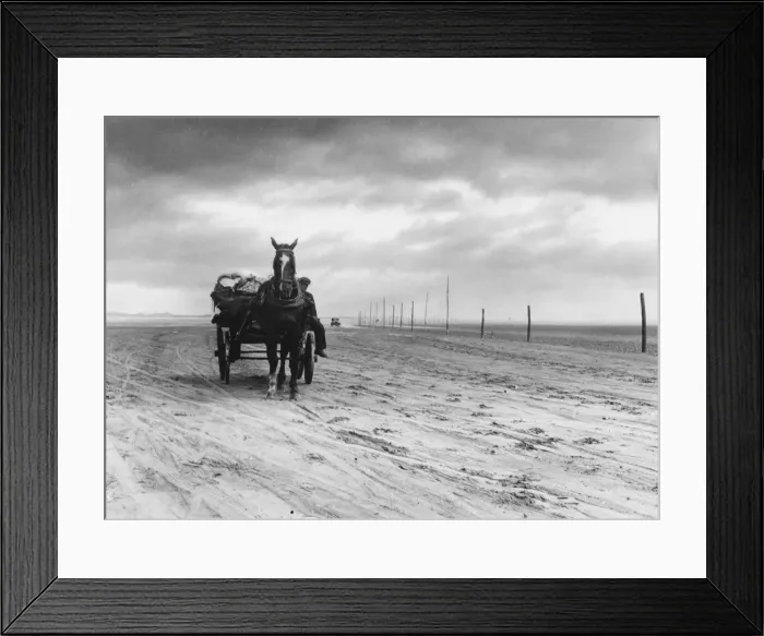 Framed Print : Horse & Cart on Sands Framed Print : Horse & Cart on Sands