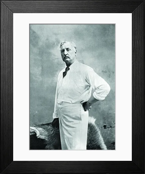Framed Print : Cricketer, Daft Framed Print : Cricketer, Daft