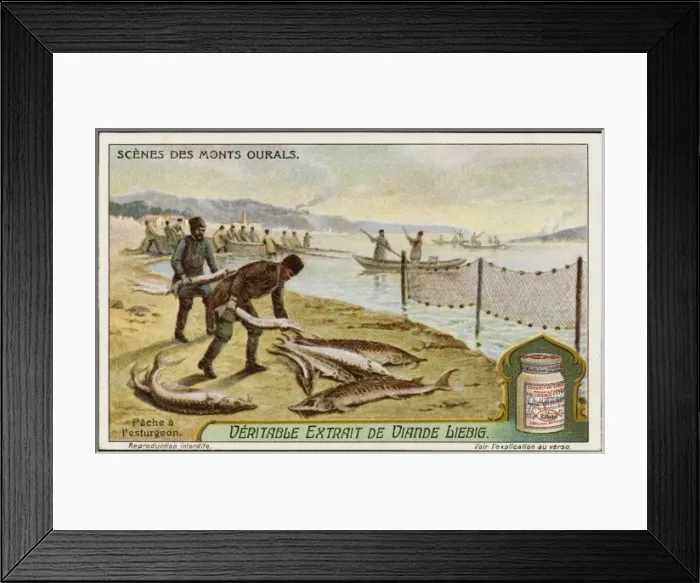 Framed Print : Fishing for Sturgeon Framed Print : Fishing for Sturgeon