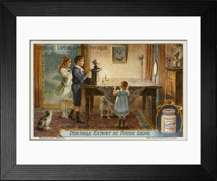 Framed Print : Untouchable Flowers Framed Print : Untouchable Flowers