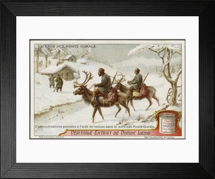 Framed Print : Reindeer Used for Mail Framed Print : Reindeer Used for Mail