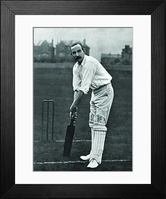 Framed Print : Cricketer, Daft Framed Print : Cricketer, Daft