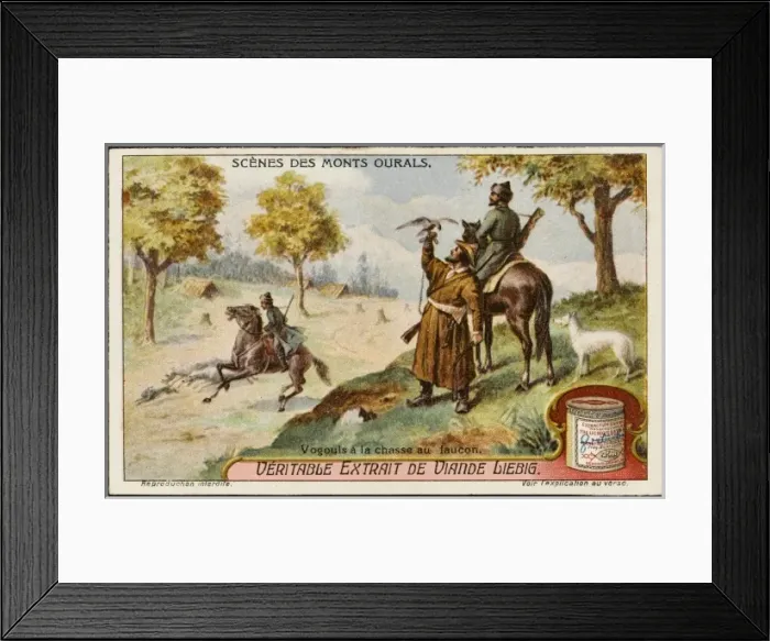 Framed Print : Falconry in Russia Framed Print : Falconry in Russia