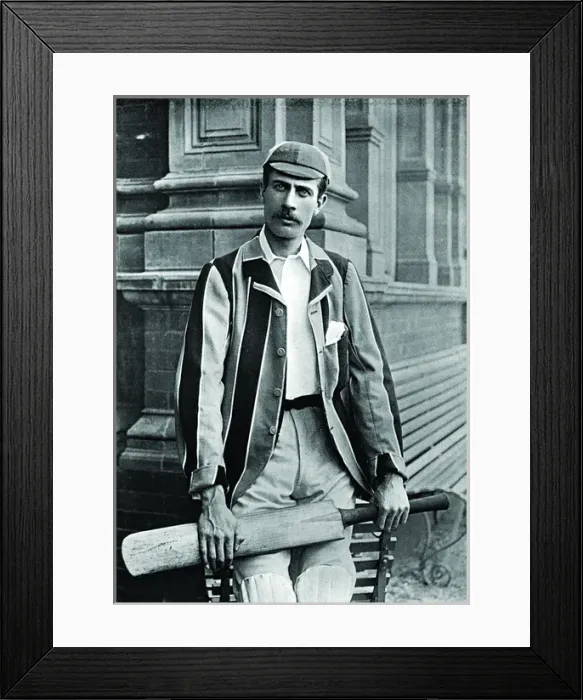 Framed Print : Cricketer, Rice Framed Print : Cricketer, Rice