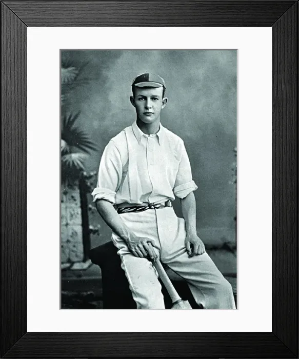 Framed Print : Cricketer, Warner Framed Print : Cricketer, Warner