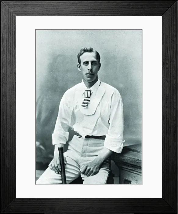 Framed Print : Cricketer, Tunnicliffe Framed Print : Cricketer, Tunnicliffe