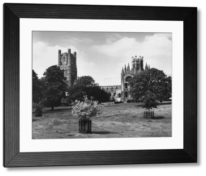 Framed Print : Ely Cathedral Framed Print : Ely Cathedral