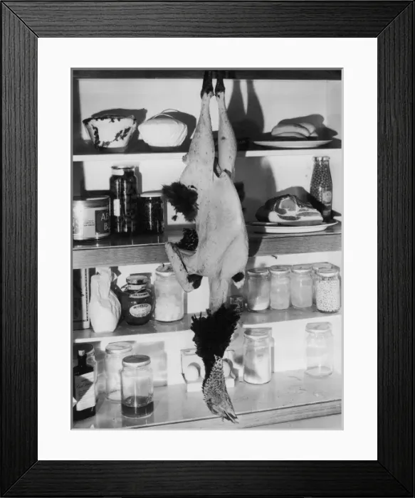 Framed Print : Dead Christmas Turkey Framed Print : Dead Christmas Turkey