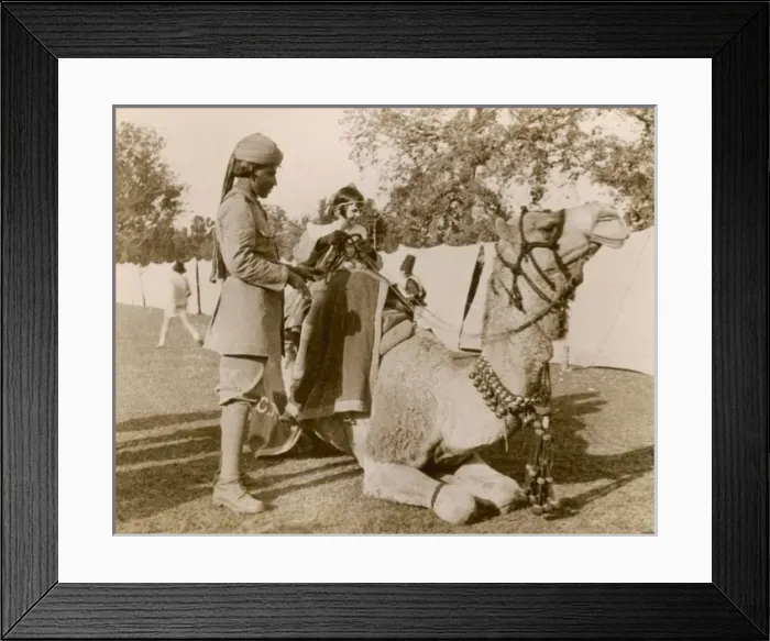 Framed Print : Indian Camel Ride Framed Print : Indian Camel Ride
