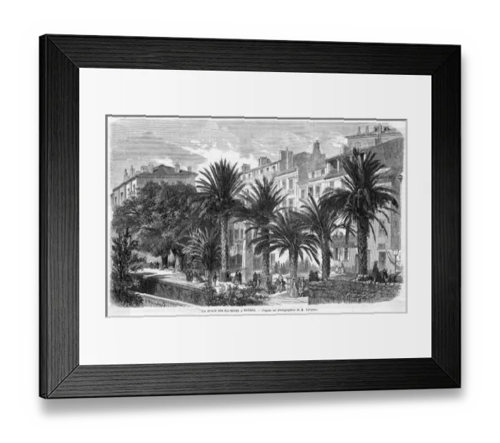 Framed Print : France Hyeres Framed Print : France Hyeres